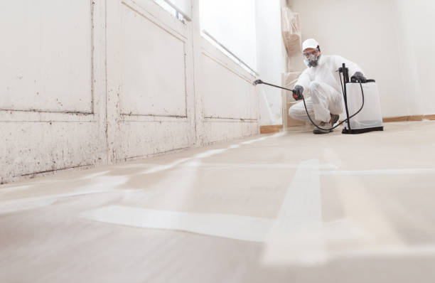 24/7 Emergency Mold Remediation experts in Woodbury, TN